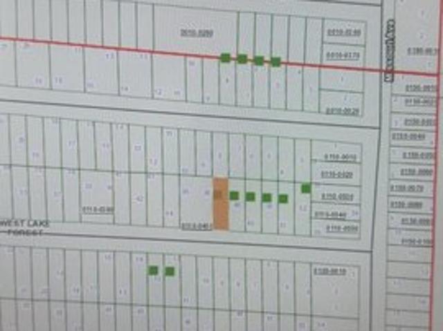 Land for sale in Hawthorne, Florida