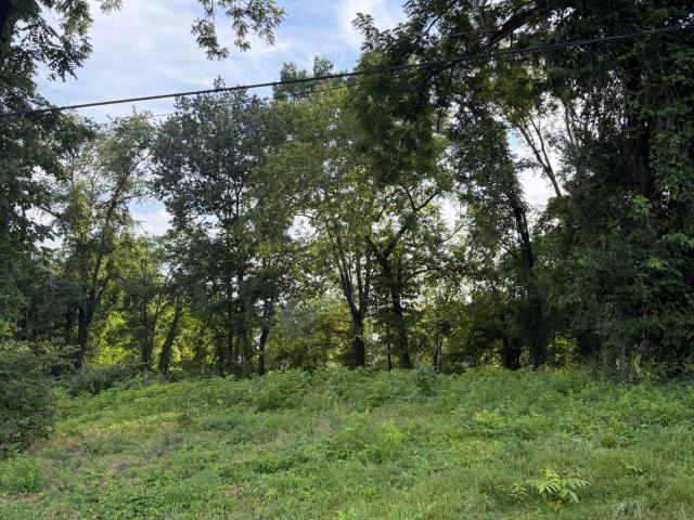 Land for sale in Somerset, Kentucky