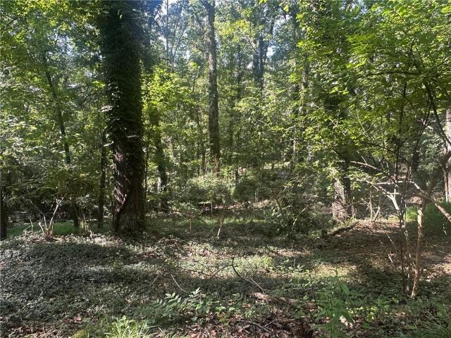 Land for sale in Mountain Park, Georgia