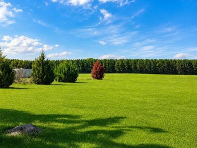 Land for sale in Colerain, North Carolina