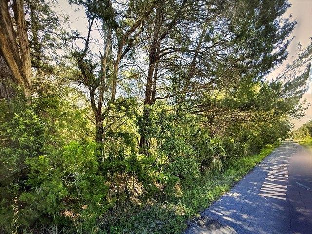 Land for sale in Ocala, Florida