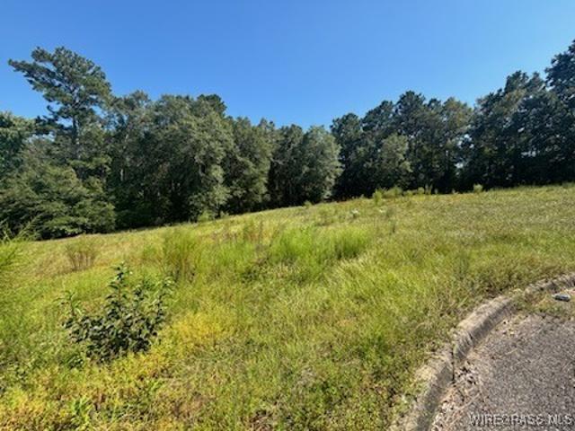Land for sale in Opp, Alabama