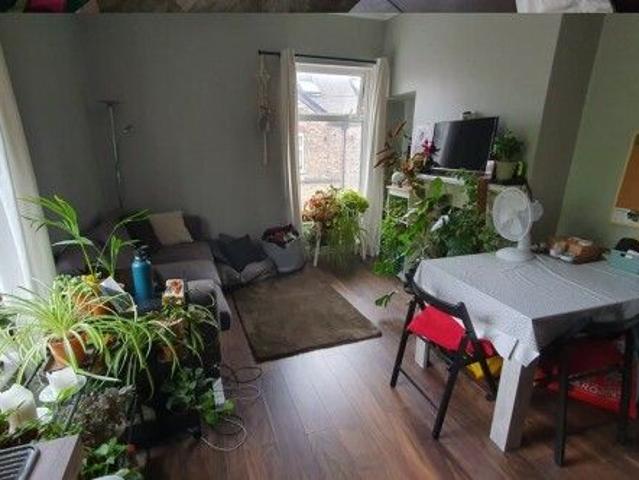 Room for rent in Fishergate, High Field