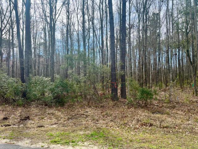Land for sale in Yemassee, Jasper County