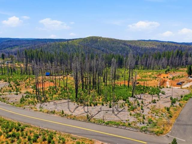Land for sale in Grizzly Flats, California
