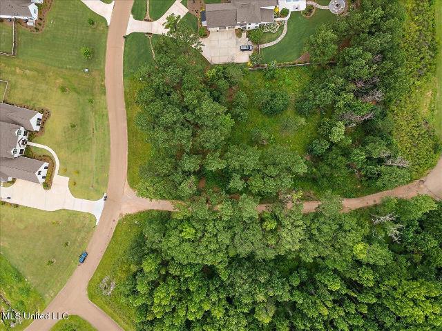 Land for sale in Ridgeland, Mississippi