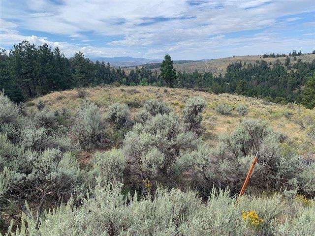 Land for sale in Fort Garland, Colorado
