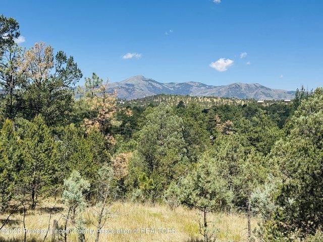House for sale in Alto, New Mexico