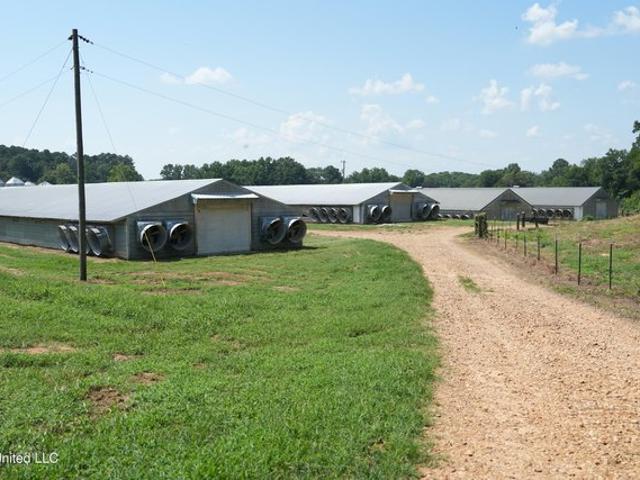 Farm for sale in Lena, Mississippi