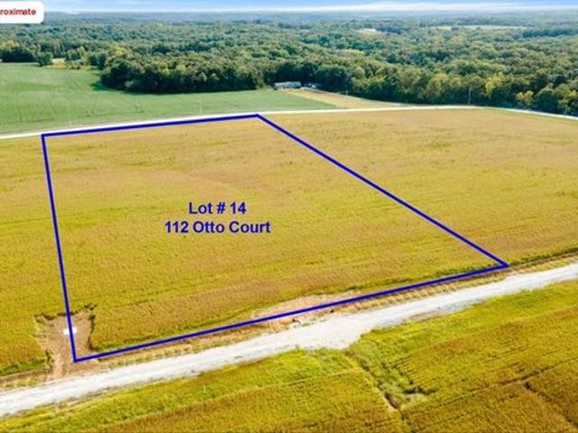 Land for sale in Silex, Missouri