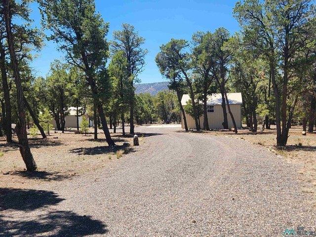 Land for sale in Quemado, Catron County