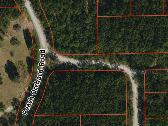 Land for sale in Pomona Park, Florida