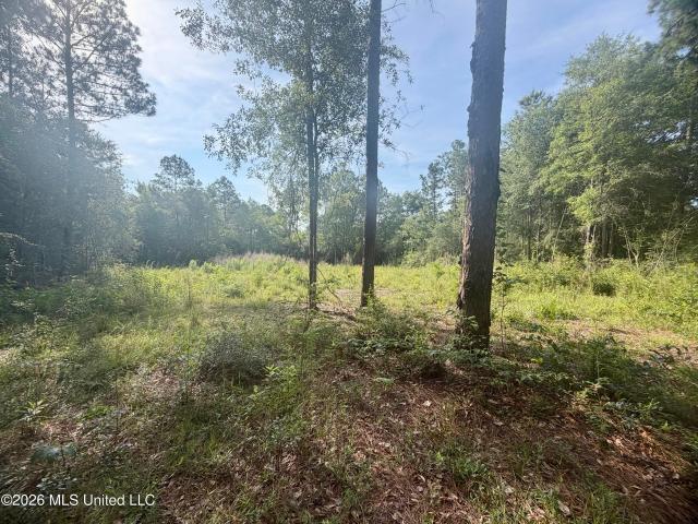 Land for sale in Picayune, Mississippi
