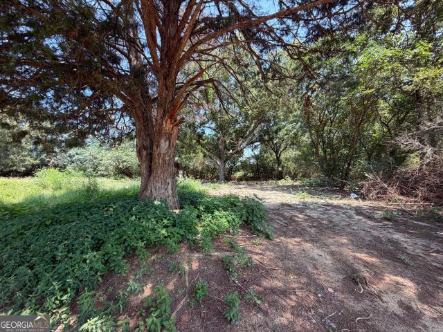 Land for sale in Dodge, Georgia