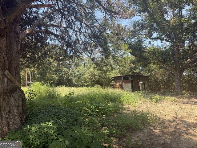 Land for sale in Dodge, Georgia