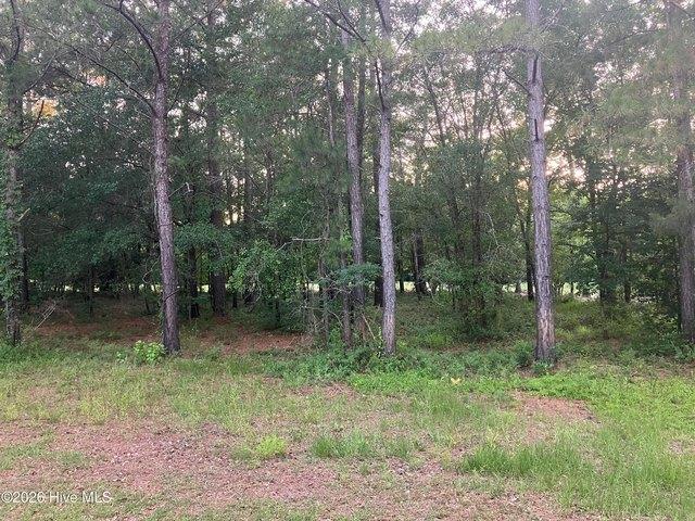 Land for sale in Wallace, North Carolina
