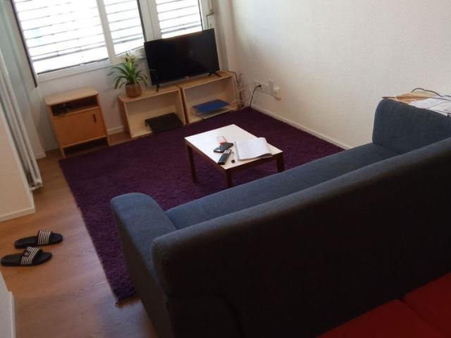Apartment mieten in Kleinstadt, Luzern