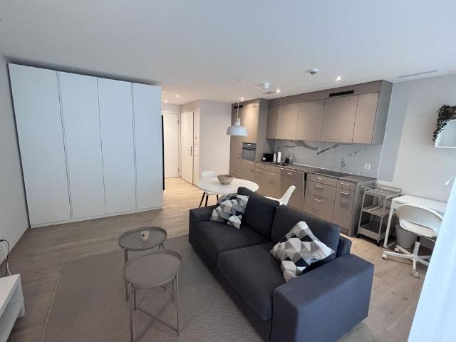 Apartment mieten in Neuhausen am Rheinfall, Neuhausen