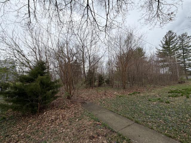 Property for sale in Homer, Illinois
