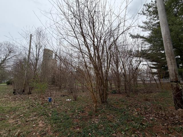 Land for sale in Homer, Illinois