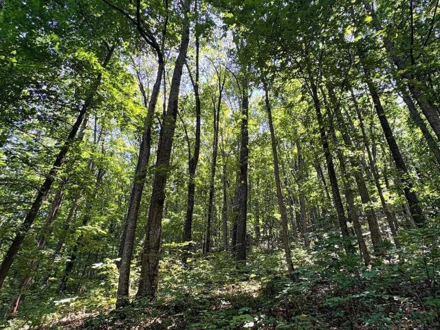 House for sale in New Hope, Alabama