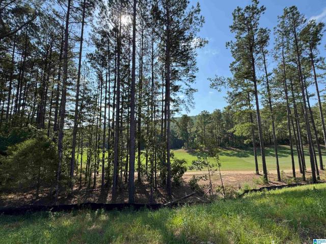House for sale in Pelham, Alabama