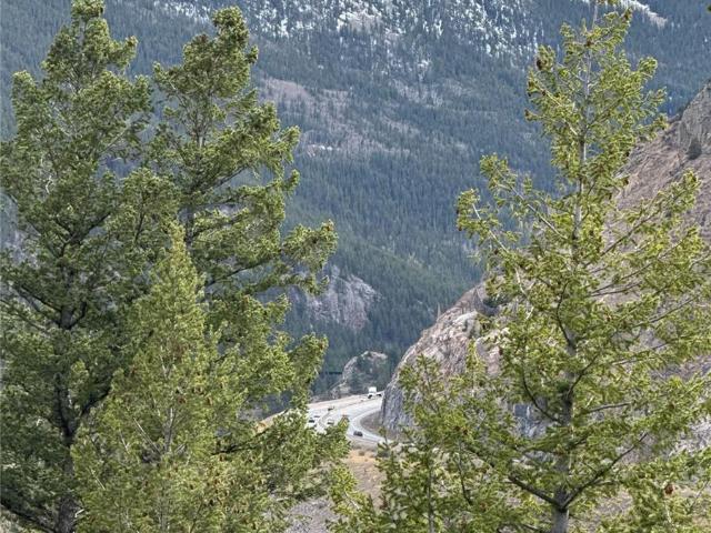 Land for sale in Georgetown, Clear Creek County