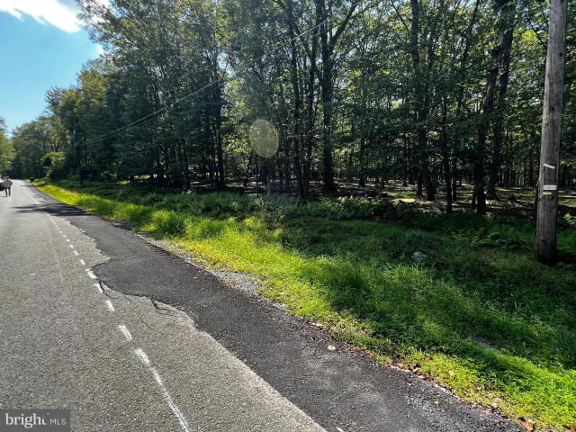Land for sale in Beach Lake, Pennsylvania