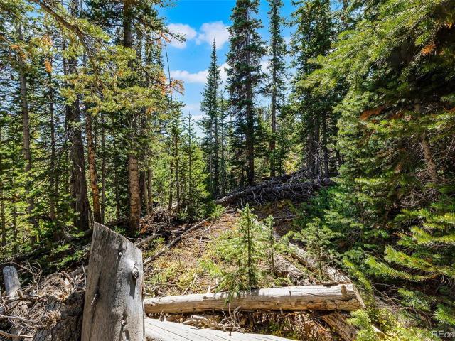 Land for sale in Fairplay, Colorado