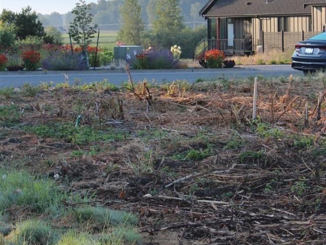 Land for sale in Lynden, Washington