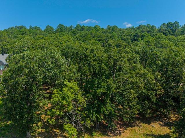 Land for sale in Maumelle, Pulaski County