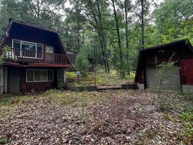 House for sale in LeRoy, Osceola County
