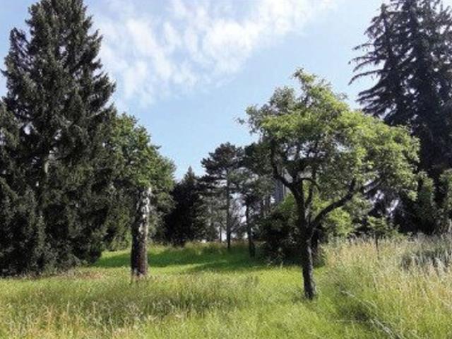 Grundstück kaufen in Seestadt, Wien