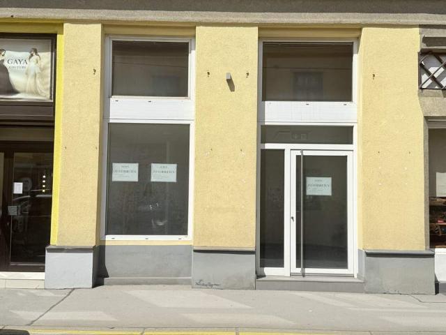 Gewerbe mieten in KG Hietzing, Wien