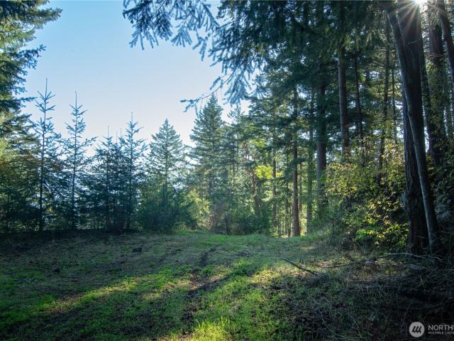 Land for sale in Washington