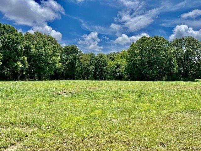 Land for sale in Elmore, Alabama