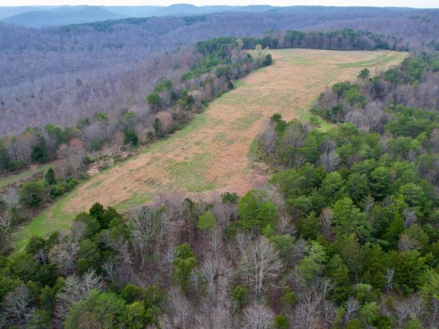 Land for sale in Monticello, Kentucky