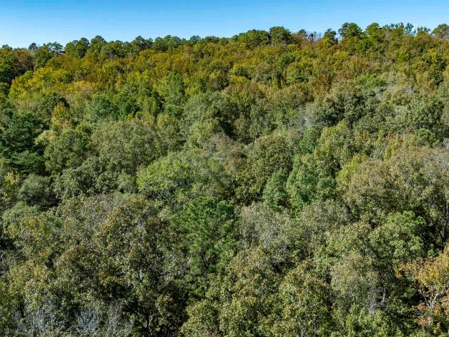 Land for sale in Jefferson County, Alabama