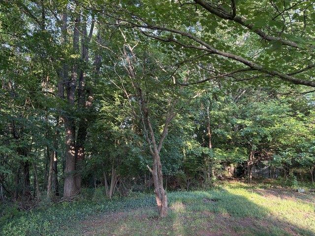 Land for sale in Virginia