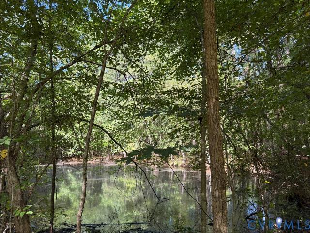 Land for sale in Dinwiddie County, Virginia