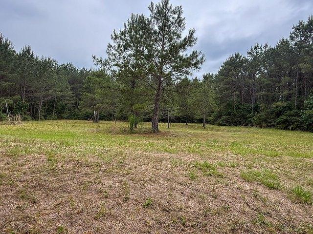 Farm for sale in Walker, Texas