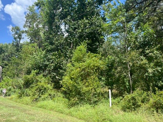 Land for sale in Angleton, Texas