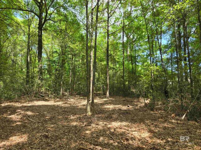 Land for sale in Flomaton, Alabama