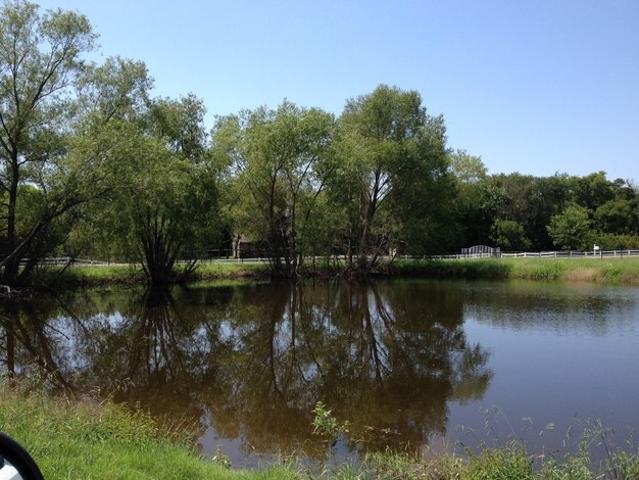 Land for sale in Anna, Texas
