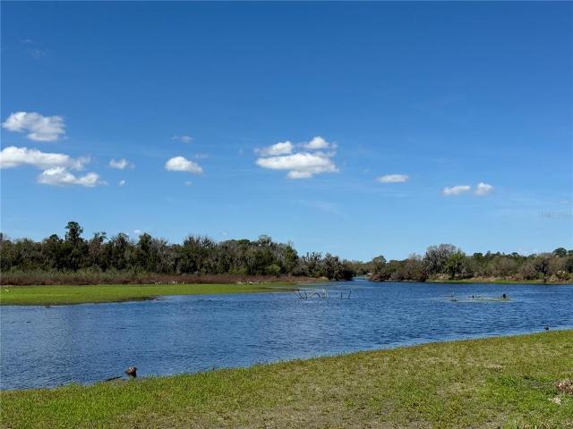 House for sale in Lithia, Florida