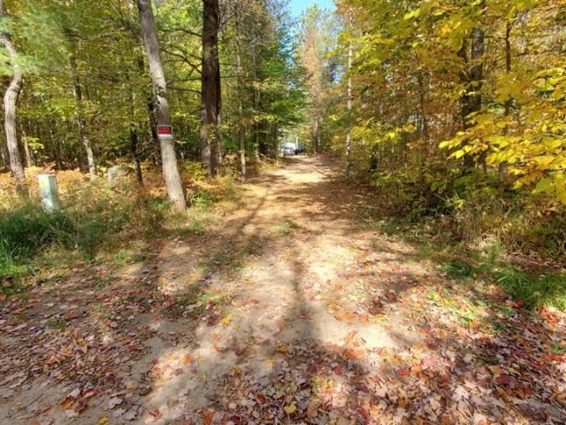 Land for sale in Maple Grove Township, Manistee County
