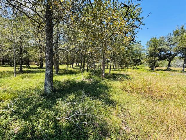 Land for sale in Fayetteville, Texas