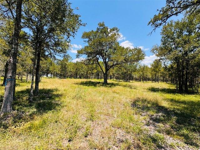 Land for sale in Fayetteville, Texas