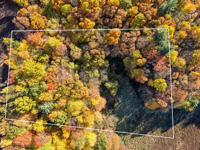 Land for sale in Michigan