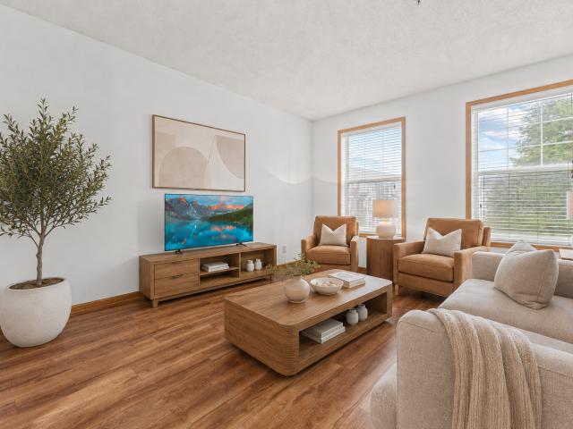 Townhouse for sale in Blaine, Minnesota